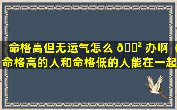 命格高但无运气怎么 🌲 办啊（命格高的人和命格低的人能在一起吗）